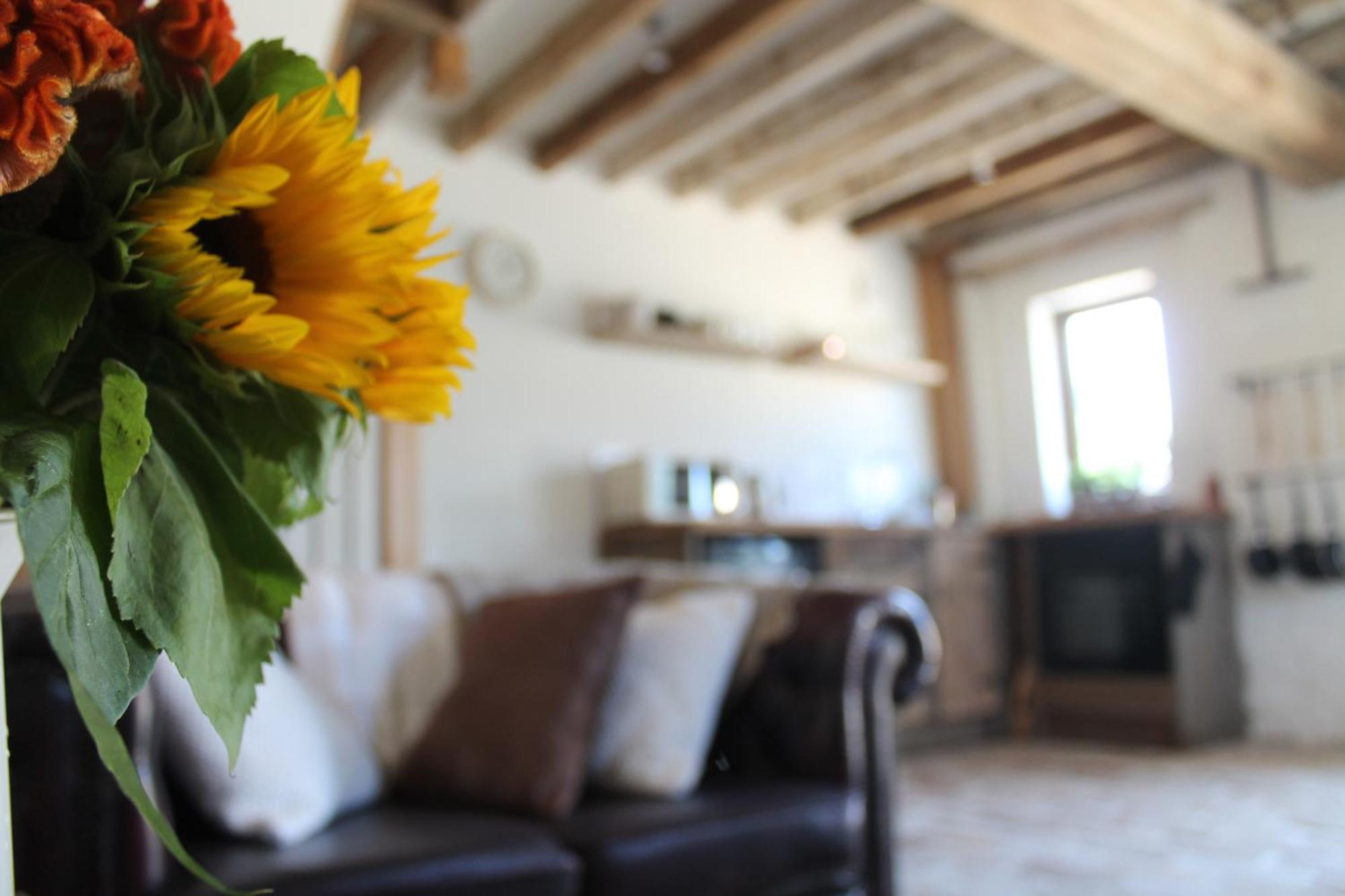 Villa The Dovecote - Unique Self-Contained 1Bed Renovated Barn à Saffron Walden Extérieur photo